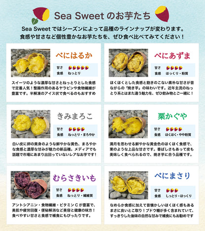 04夏ギフトBセット2026　冷凍焼き芋６種たっぷり食べ比べ